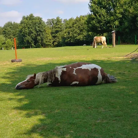 Romantische Zwischen Schlei Und Ostsee